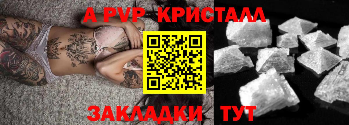 A PVP СК КРИС Кириши