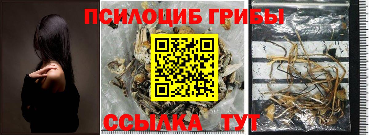 Галлюциногенные грибы мицелий  Вход с VPN  купить наркотики сайты  Кириши 
