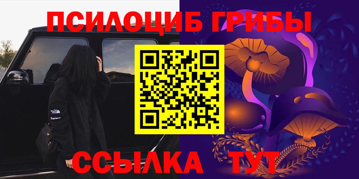 Псилоцибиновые грибы Psilocybe  Кириши 